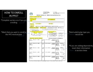 thumbnail of How to Enroll in PPO